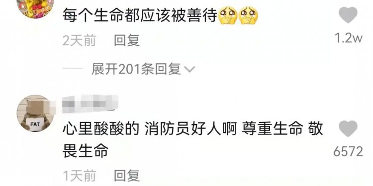 生命之吻！他人工呼吸拯救昏迷小猫中国消防员也很暖