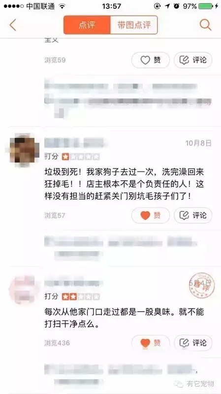 无良的宠物店让多少狗狗承受了不该经历的痛苦