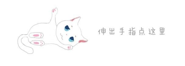 每个养猫人的心声：遇上一只奇葩猫后每天的生活都是这样的