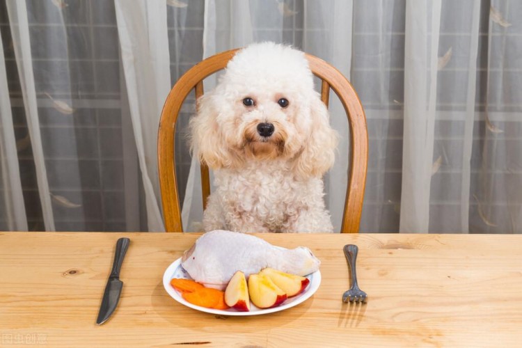 贵宾犬好还是金毛犬好说实话两个我都想养