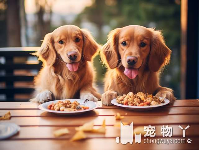 为什么流浪狗多半是小型犬，没有大型犬呢？原因有5个